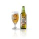 Light beer Münchner Helles Lager (unpasteurized, unfiltered)